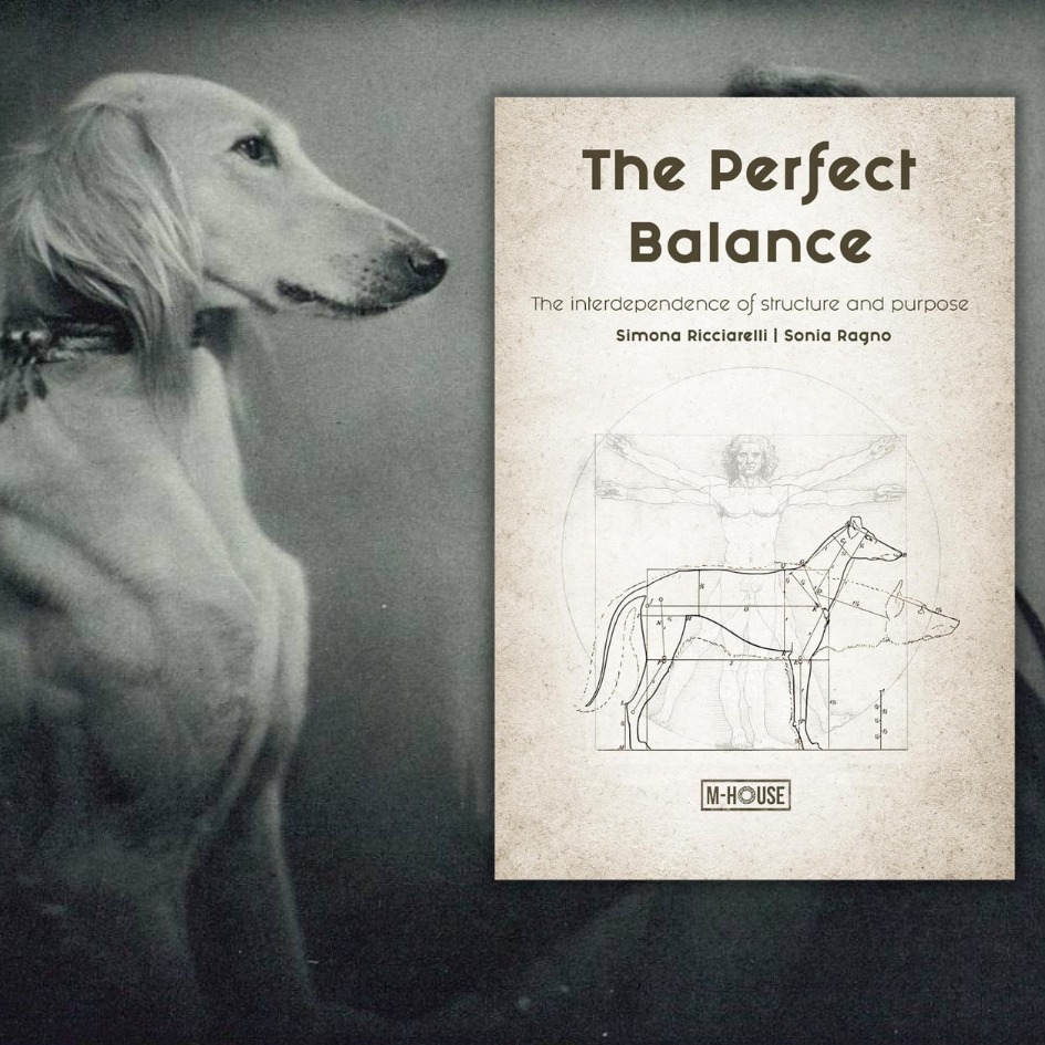 Twogreyhounds's tweet photo. Because true progress often lies not in adding more,
but in avoiding irreversible damage.
THE PERFECT BALANCE here: https://t.co/cR2sfNvXOz
#caninesports #dogculture #theperfectbalance #functionandform #dogshow https://t.co/F7GwKAZSGk