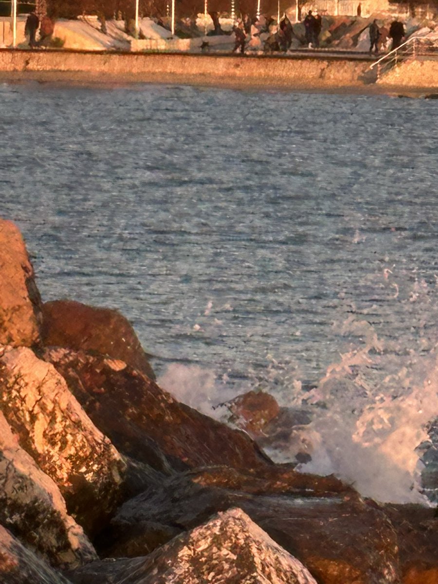 computer napper tweet media