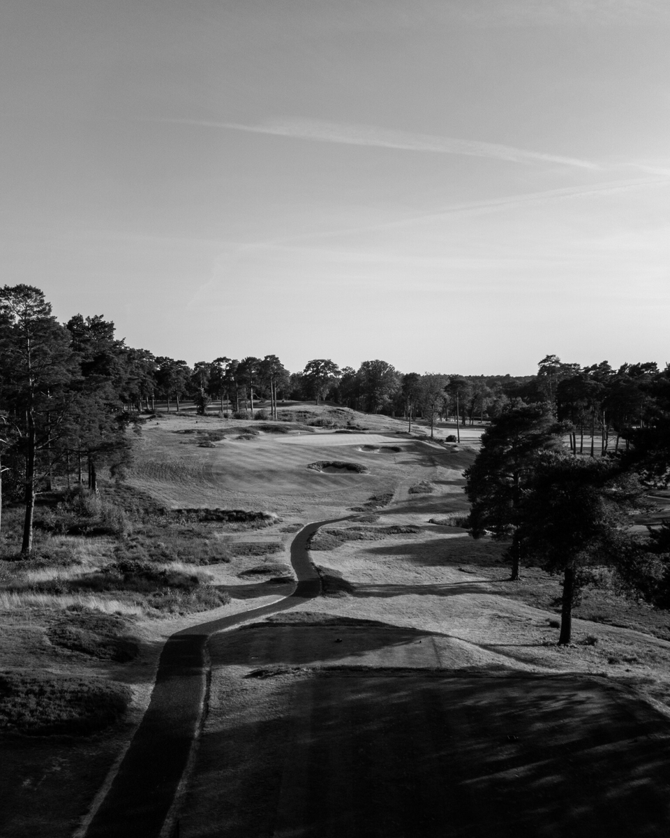 Woking Golf Club tweet media