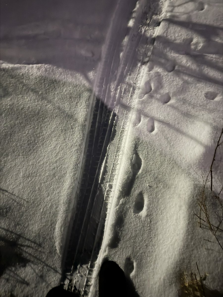 木龍💛 tweet media