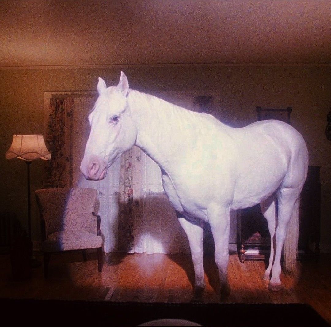 aireconcreto (@aireconcreto) on Twitter photo 