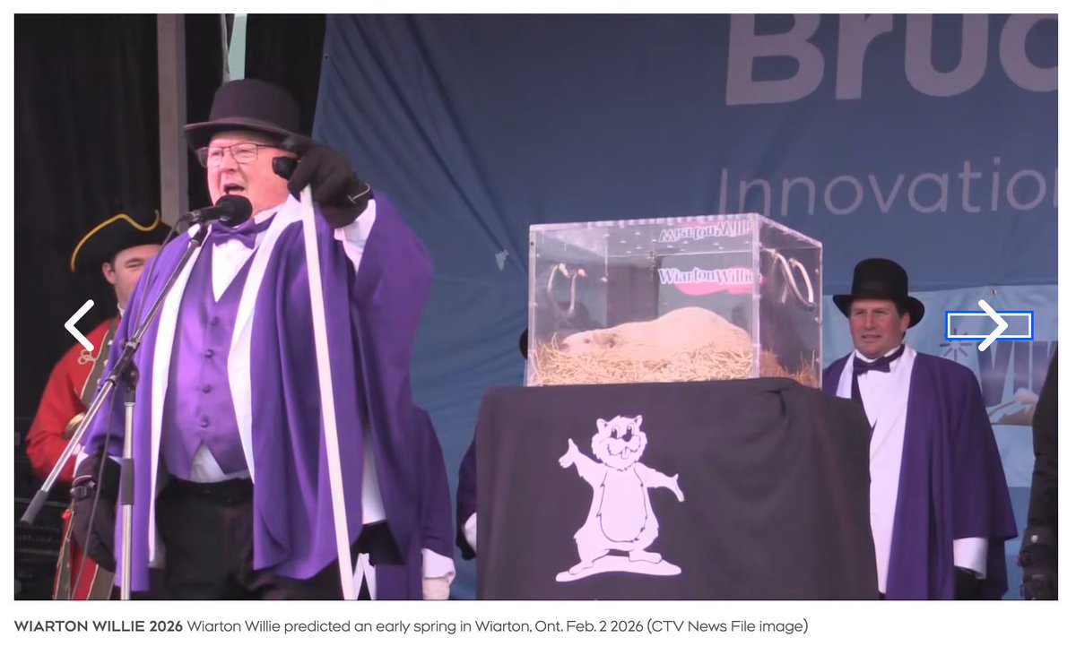 🦫 Groundhog Day in Canada 🇨🇦
Wiarton Willie didn’t see his shadow — early spring ahead.
Crypto feels similar: cycles repeat, signals matter, patience wins. #Bitcoin #Crypto 

Image credit: CTV News