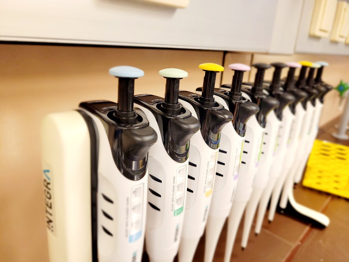 Stefan Mereiter tweet media