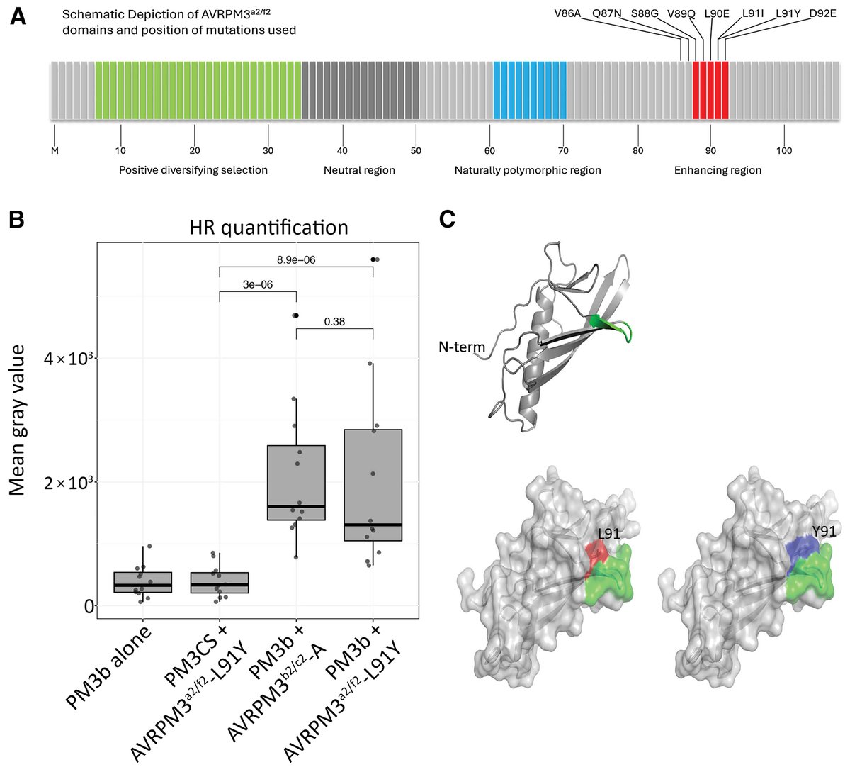 MPMI Journal tweet media