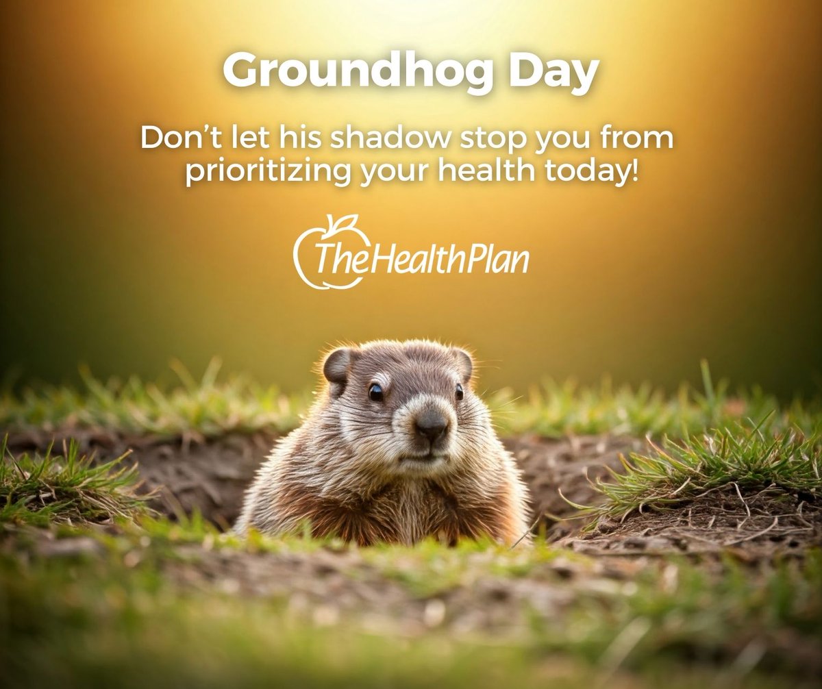 The Health Plan tweet media