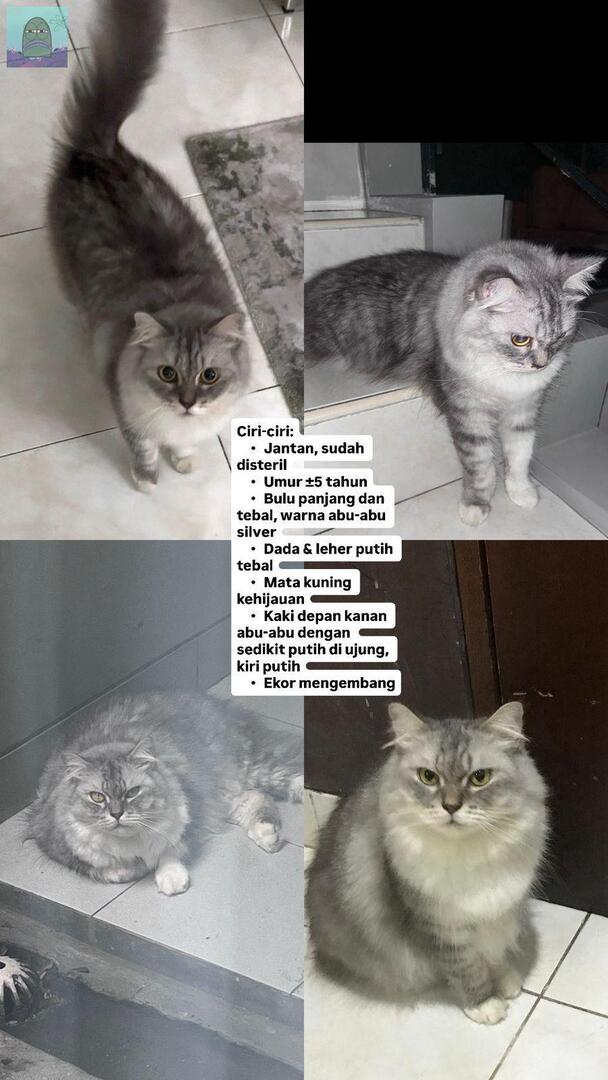Tanyarl 💚 tweet media