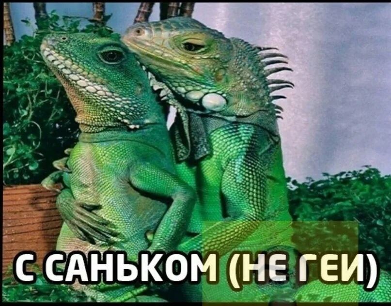 лиза tweet media
