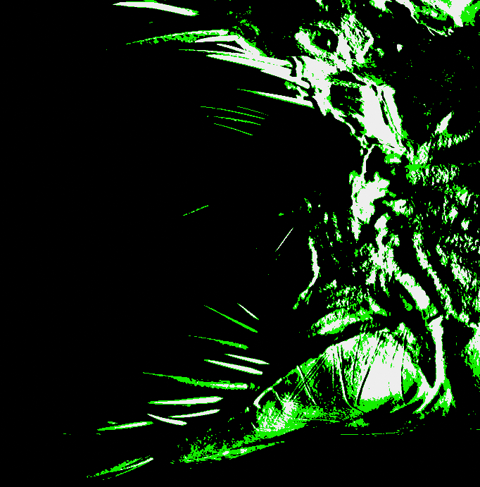 we are not alone in the sea of blood