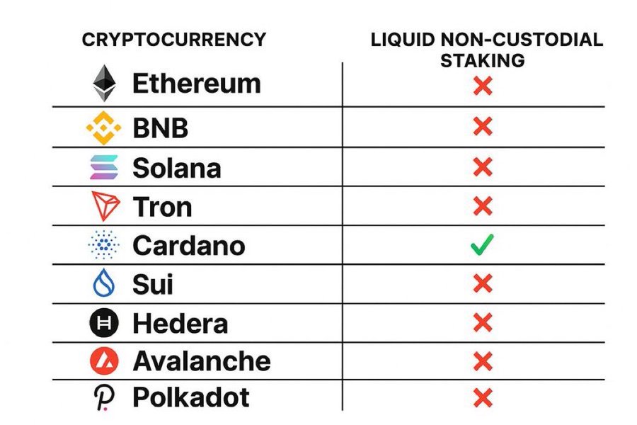 REMINDER: Cardano is the only top 10 proof-of-stake blockchain offering native, non-custodial liquid staking.