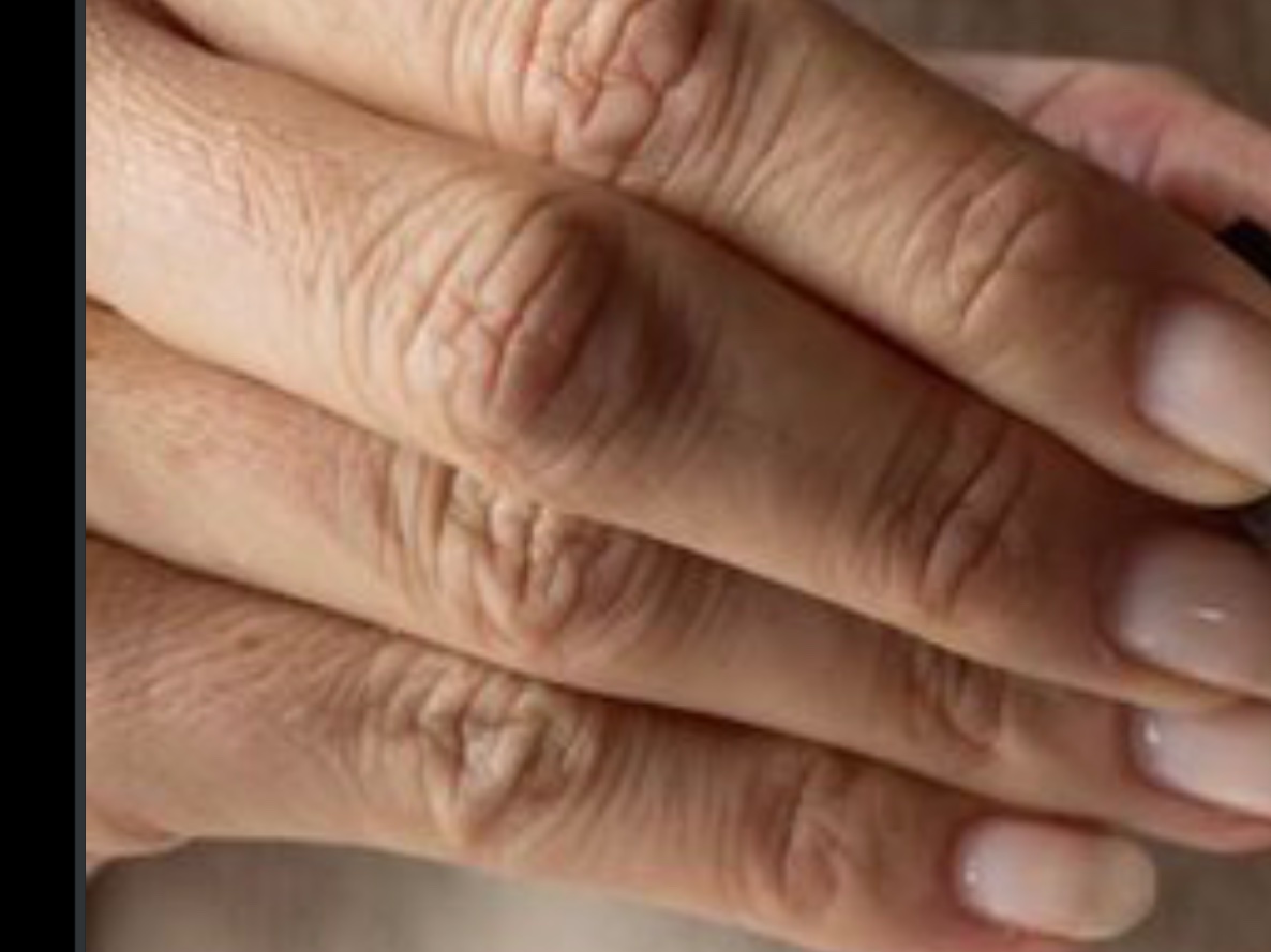 Lisa Louisa tweet media