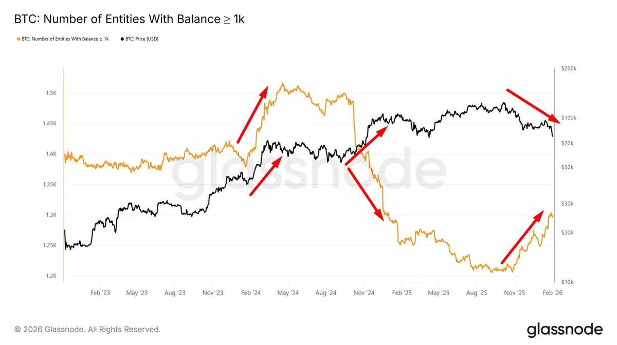 caueconomy's tweet photo. BALEIAS VOLTARAM A ACUMULAR BITCOIN🚨

Esse processo de acumulação tem ocorrido exatamente no processo de venda spot, majoritariamente exercido pelo varejo.

Conseguimos ver no gráfico de entidades com mais de 1K BTC um processo de 3 fases ao longo do ciclo atual.

Em 2024, a acumulação institucional estava diretamente ligada ao lançamento dos ETFs spot, com grandes fundos entrando no mercado.

Em 2025, a dinâmica mudou.

Tivemos uma grande redução no número de institucionais com grandes reservas. Em parte por coin-split, mas também por pressão vendedora.

Este mesmo efeito atingiu o preço do bitcoin de forma SIGNIFICATIVA.

A supressão que muitos falam e poucos sabem explicar.

Estas entidades não eram apenas novos institucionais, mas também baleias antigas realizando lucros massivos.

Em 2026, a dinâmica mudou, novamente.

Nos últimos dois meses a quantidade de players institucionais com mais de 1K BTC voltou a subir de forma expressiva.

Parte disso é devido a "maior facilidade" de possuir 1K BTC, afinal o preço unitário é menor.

Outra parte é simplesmente smart money posicionando capital enquanto o varejo segue temeroso.

Esse tipo de participante não está negociando para as próximas semanas, mas para os próximos anos.

Isto não significa que preços devem refletir essa acumulação de imediato. Se refletir, é sinal que tem institucional vacilando e comprando igual novato.

E digo isso porque se esses caras pretendem acumular, eles NÃO QUEREM que preço reflita sua acumulação.

Então quando você ver entidades com interesse em acumular o melhor ativo da década, saibam que eles não possuem interesse que suas bags (você, nós, do varejo) cresçam.

Pelo contrário.

Eles precisam de preços menores, cenário de medo. Constante venda spot de entidades menores.

Eles só farão o preço subir quando for conveniente.

Esse é o motivo de muitos investidores menores se perderem no meio da volatilidade.

É o próprio motivo de existir volatilidade no mercado.

A volatilidade é um filtro na negociação do varejo.

Ela pune.
Ela ensina.
Ela expurga.

Cabe a você decidir se vai aprender a navegar ela ou se afugentar no processo.

---------
Estou escrevendo isso diariamente no meu telegram, amanhã farei um vídeo detalhando mais dessa dinâmica e como você pode navegar essa volatilidade atual. Se você tiver realmente interesse em sobreviver nesse mercado, tenho certeza que conseguirá achar os links do telegram e do youtube que estão na minha bio.