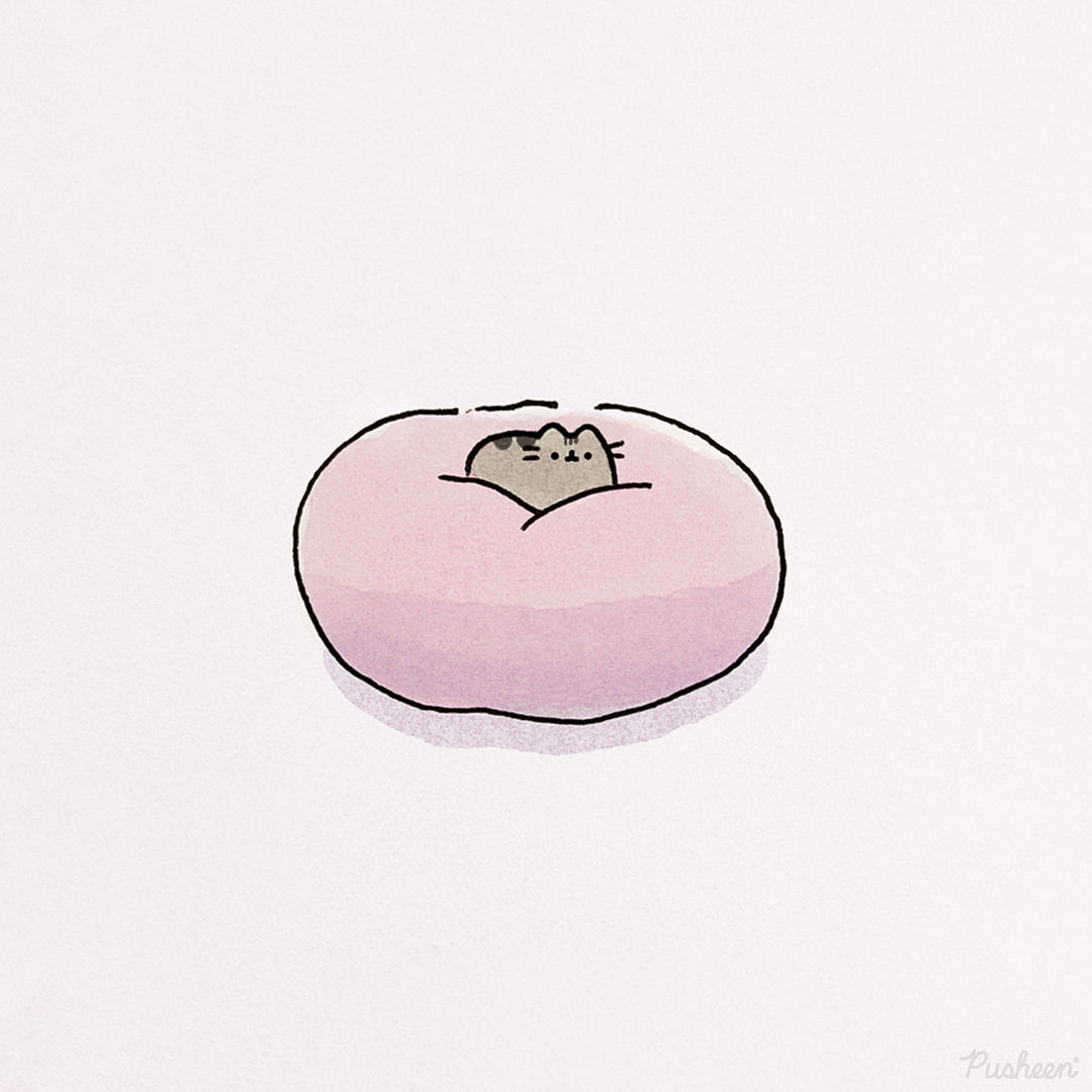 Pusheen the cat tweet media