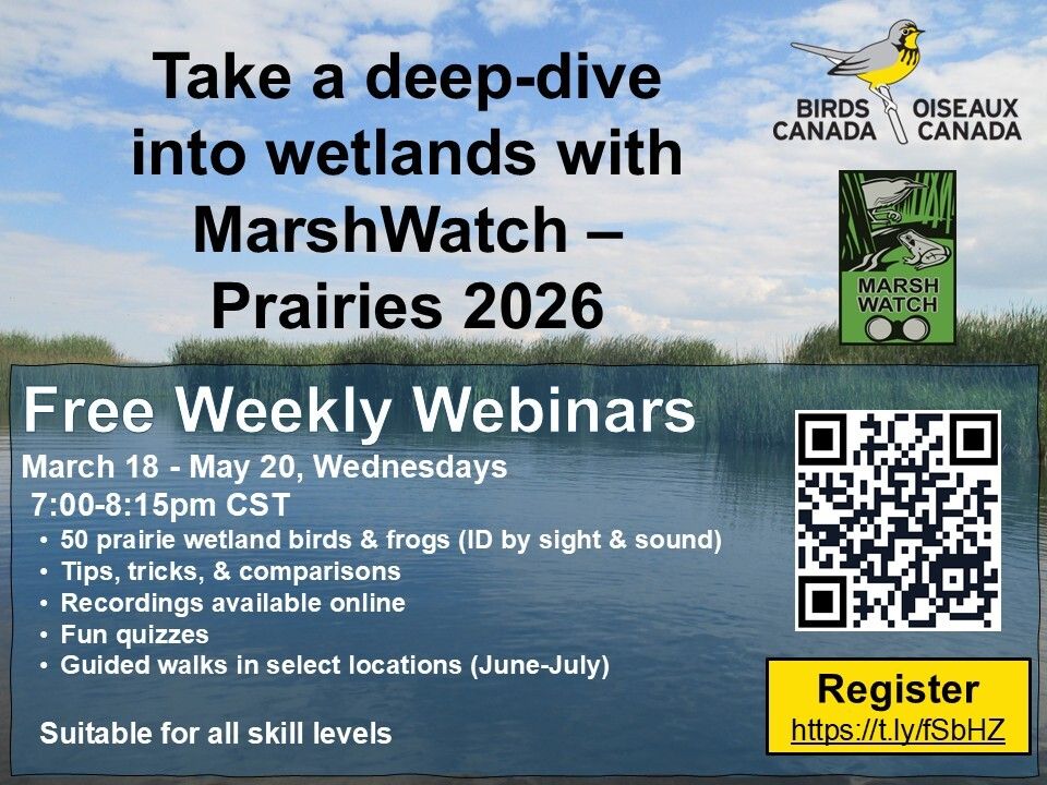 Kathy Jones (she/her) tweet media