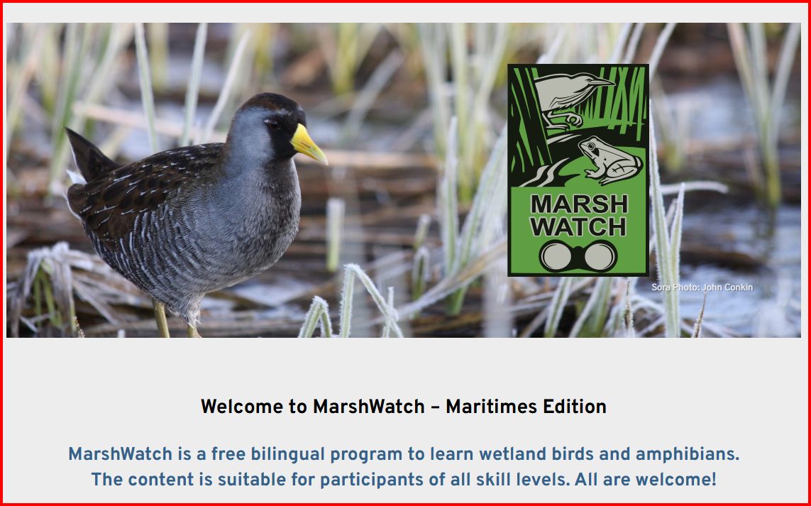 Kathy Jones (she/her) tweet media