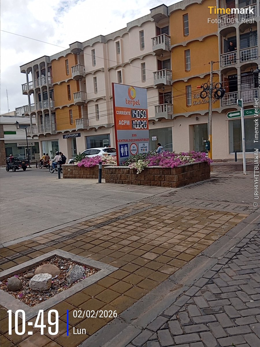 Maestro Roshi tweet media