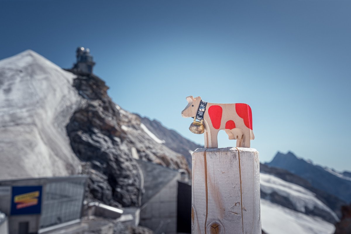 Happy Lilly tweet media