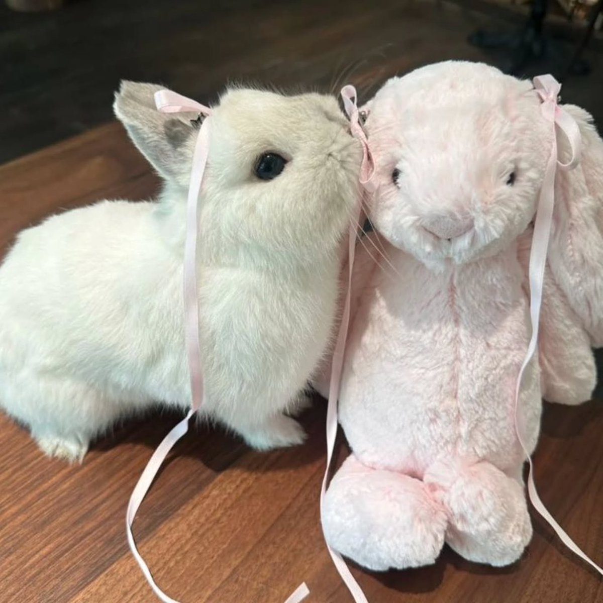 Riva_k86's tweet image. Same