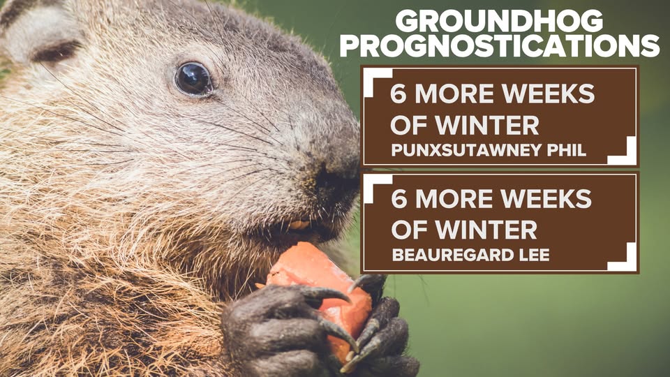 Both groundhogs saw their shadow! I'm definitely not ready for 6 more weeks of winter 🥶