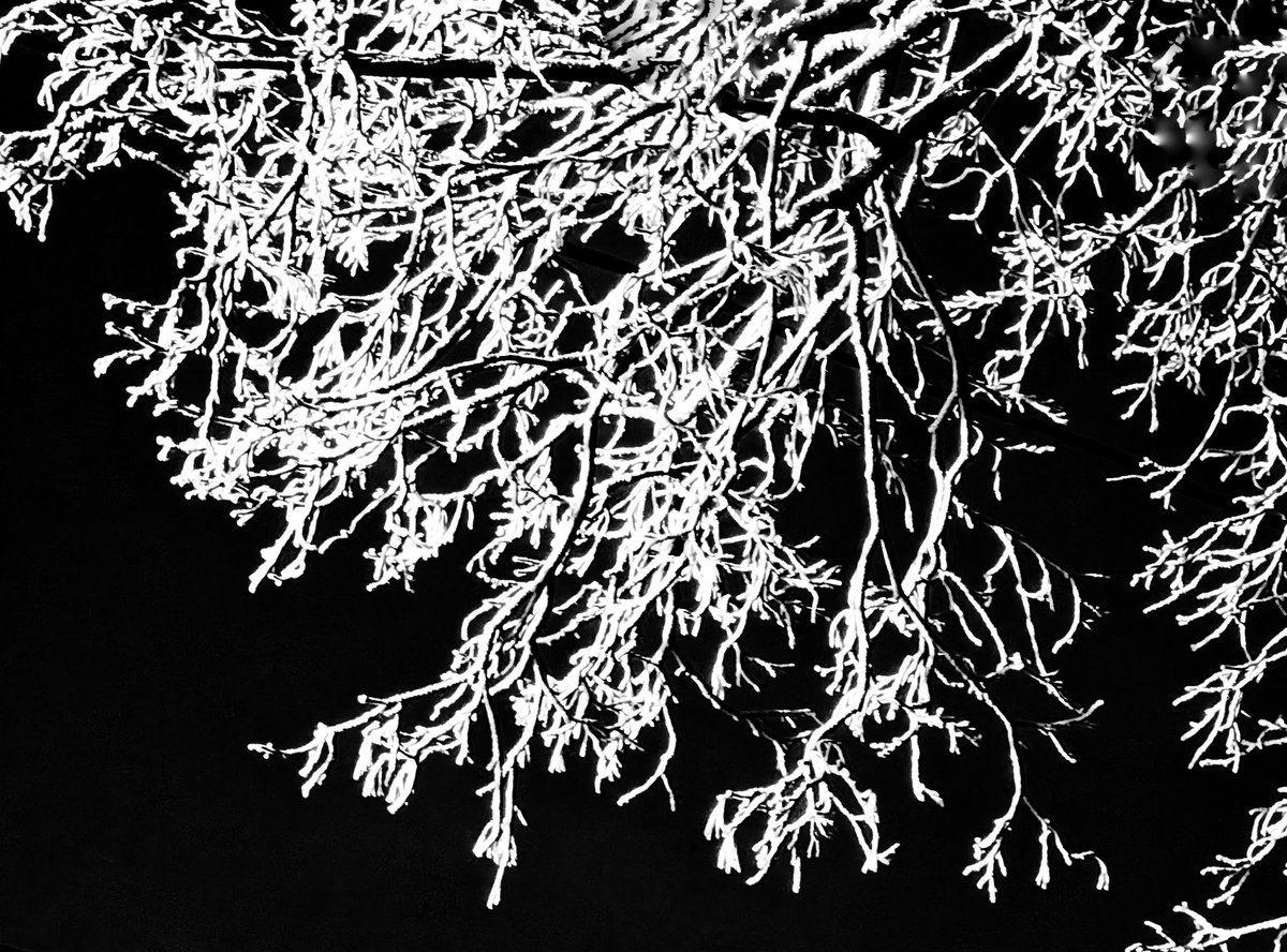 Tom Mazur tweet media