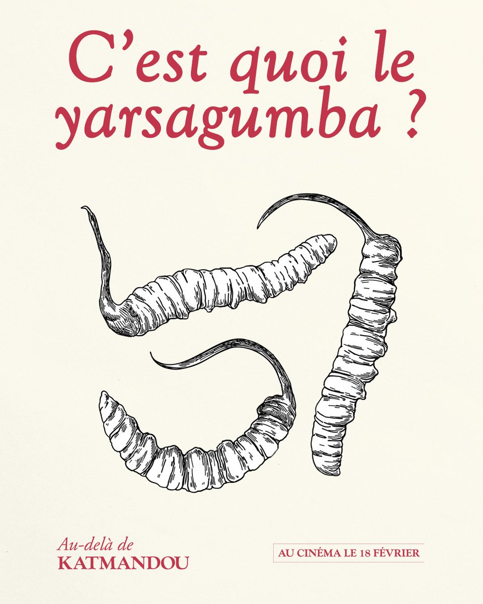 Dulac Distribution tweet media