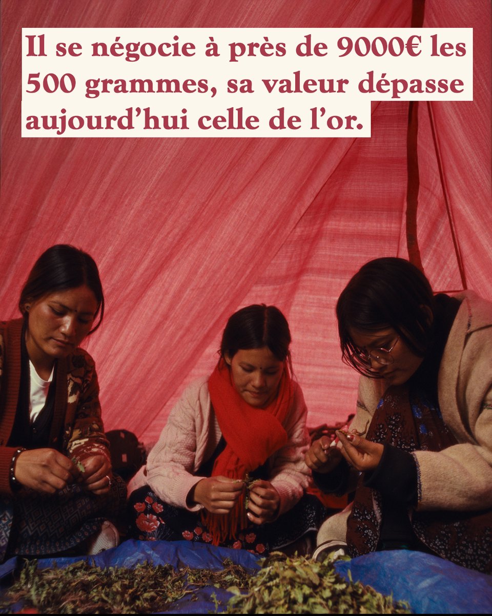 Dulac Distribution tweet media