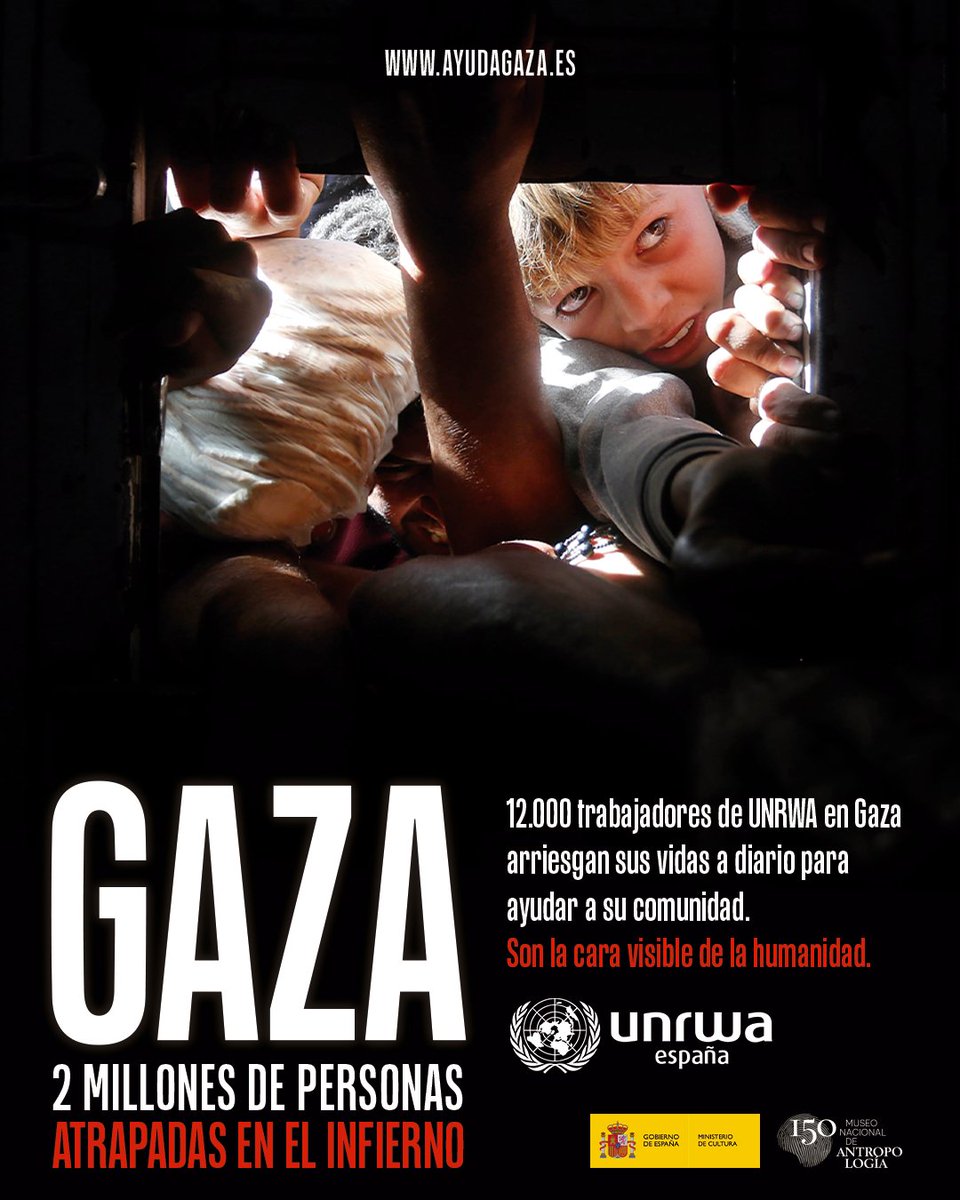 UNRWAes's tweet photo. 📷 Si te perdiste la exposición "Gaza a través de sus ojos", realizada en colaboración con @MNdAntropologia, puedes visitarla online desde aquí 👉 https://t.co/V42X9YAHVj
¡Muchísimas gracias, Museo de Antropología, por mostrar al mundo lo que ocurre en #Gaza! 💙 https://t.co/z4OfAEZPh2