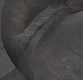 sossystem's tweet image. 動物を作る 🍘