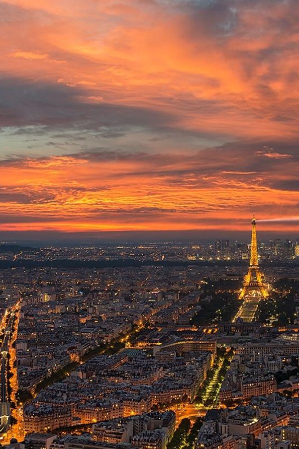 matthui2003's tweet image. 仕事が速い 🥄