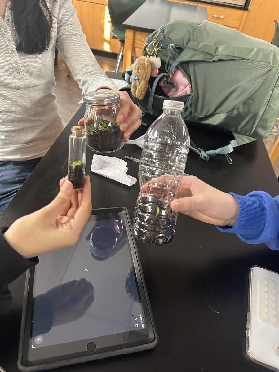 Caitlin Anetrella tweet media