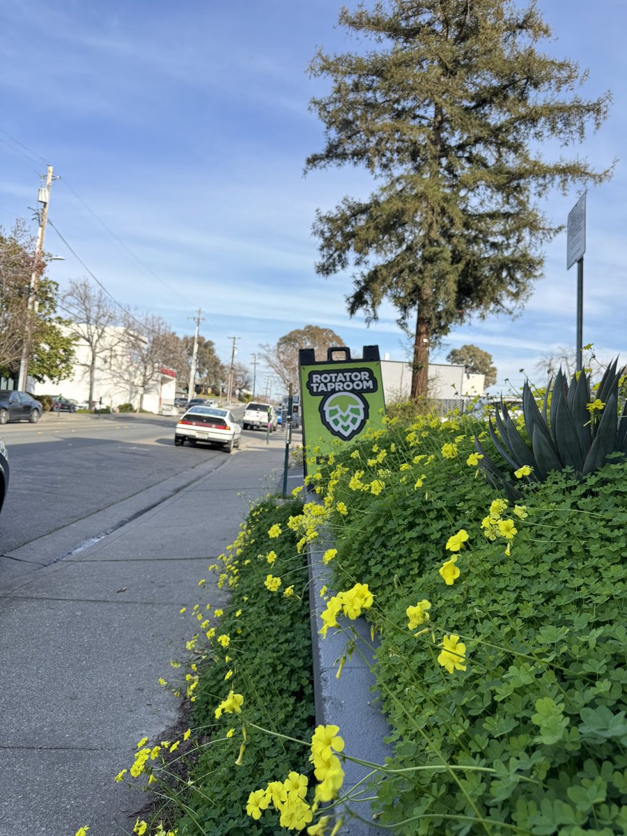 It is only Monday but the best day of year is in a few sleeps! Do we watch at taproom or living room? <a href="/Pick6/">Pick6</a>