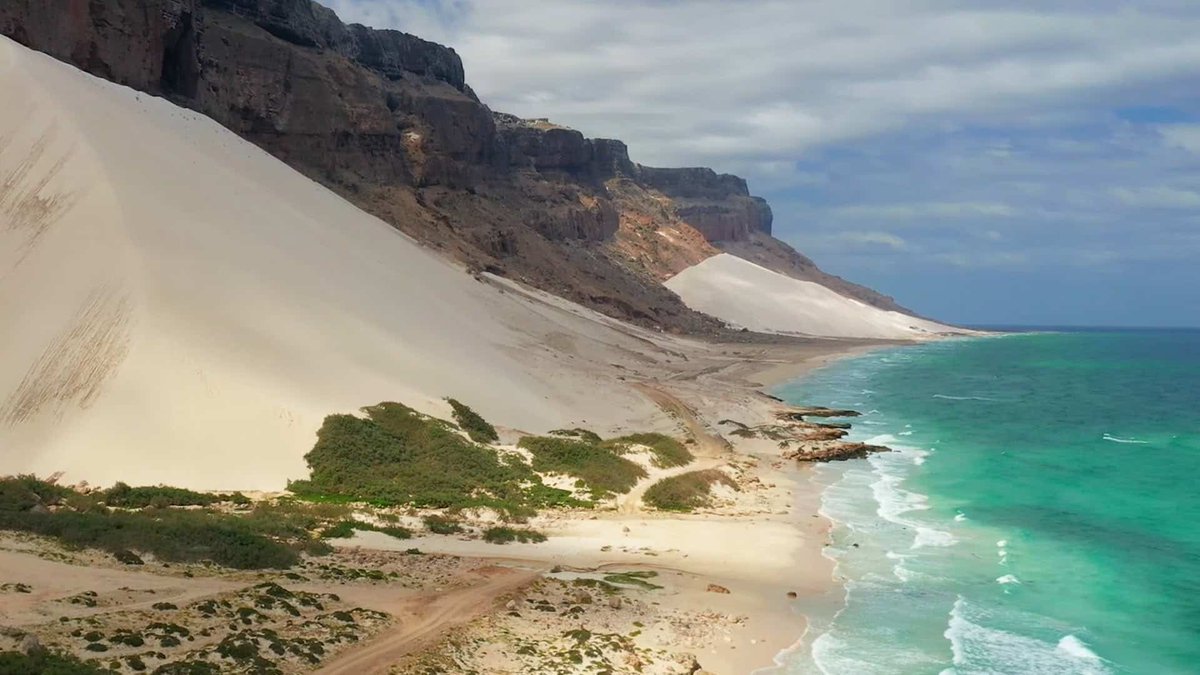 غداً الثلاثاء..

تدشين الرحلات الجوية بين جدة وجزيرة سقطرى.

-