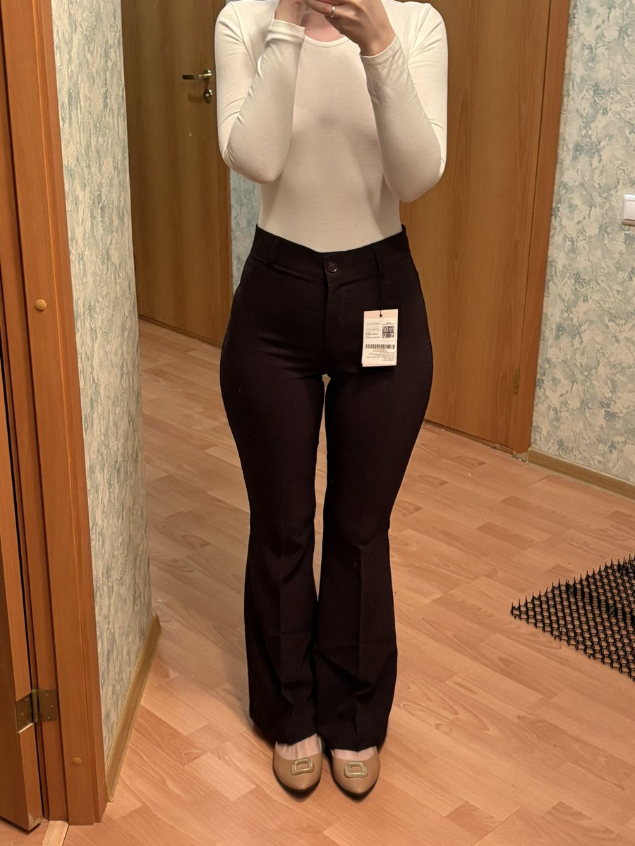 Попонька с приключениями tweet media