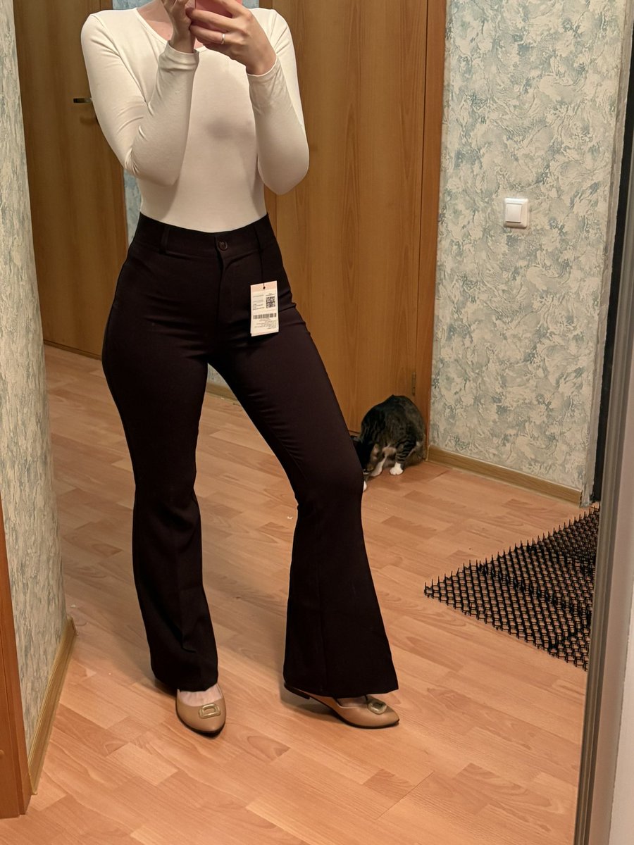 Попонька с приключениями tweet media