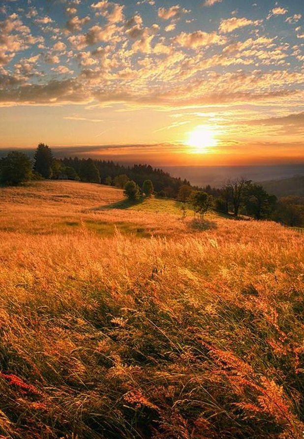 faragsayed's tweet image. パソコンを見る 👨‍👩‍👧‍👧