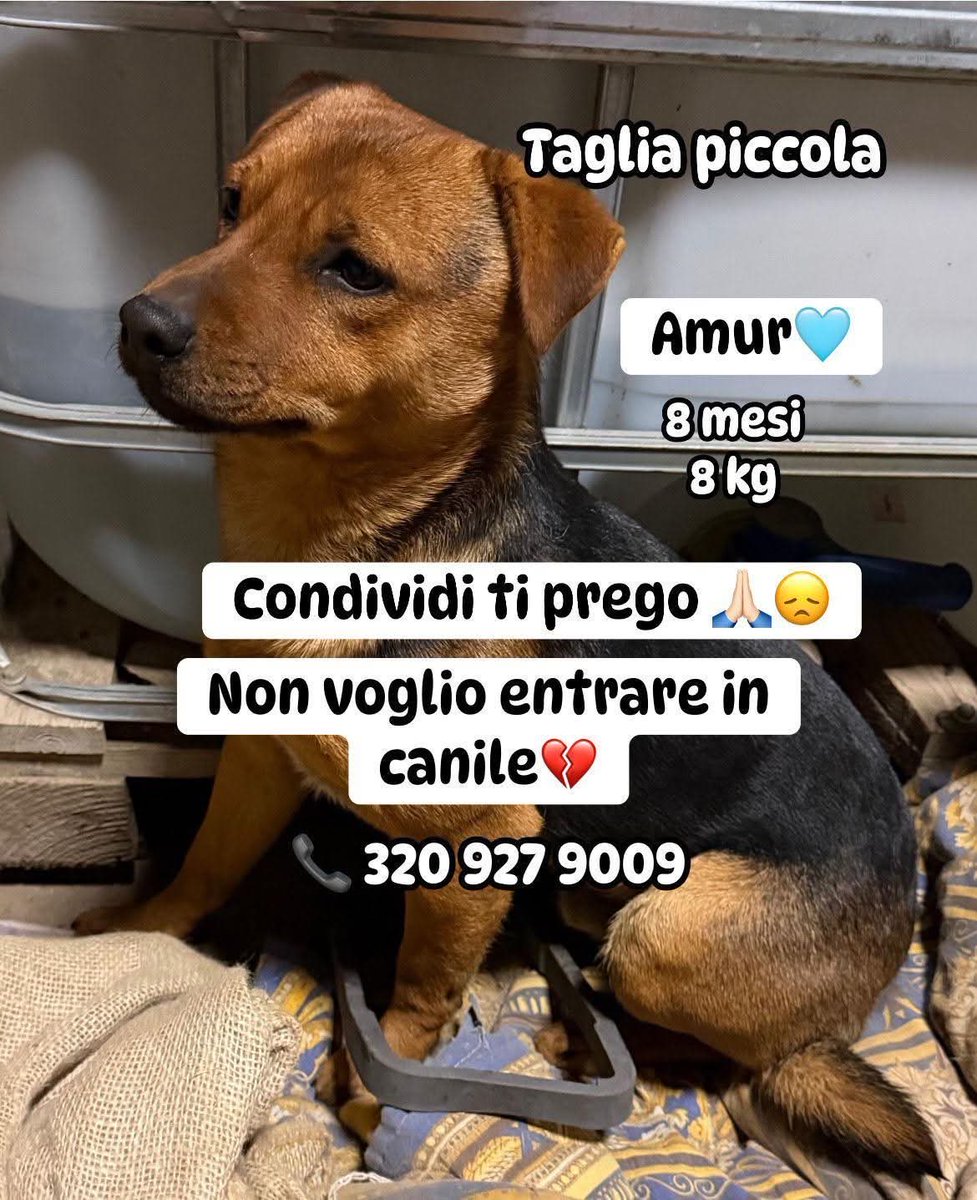 A.I. (@arwen0506) on Twitter photo 