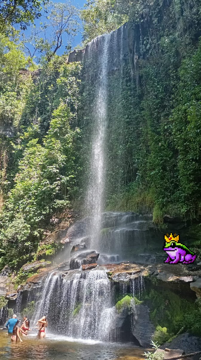 Lil Sapos tweet media