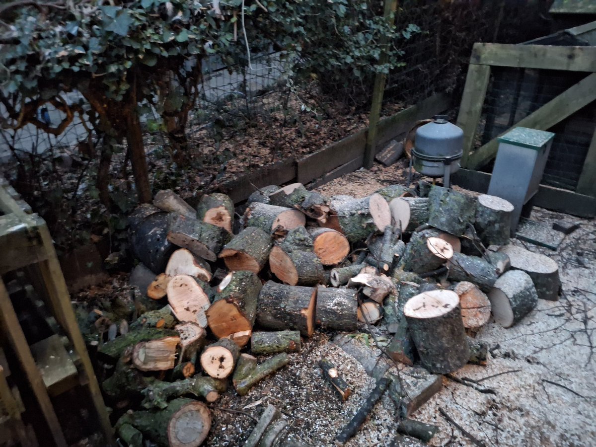 (Next) winter is coming