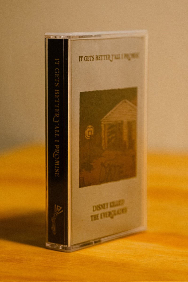 disney killed the everglades tweet media