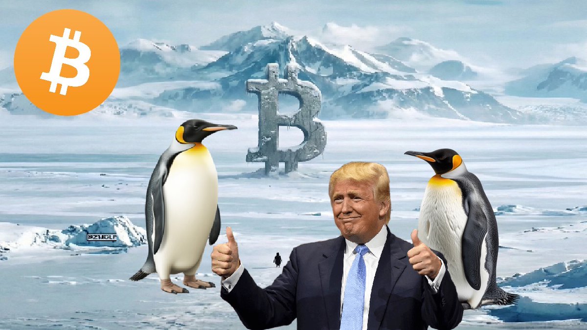 andrzej.btc tweet media