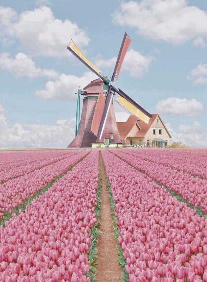 darkobed's tweet image. 29% 😎