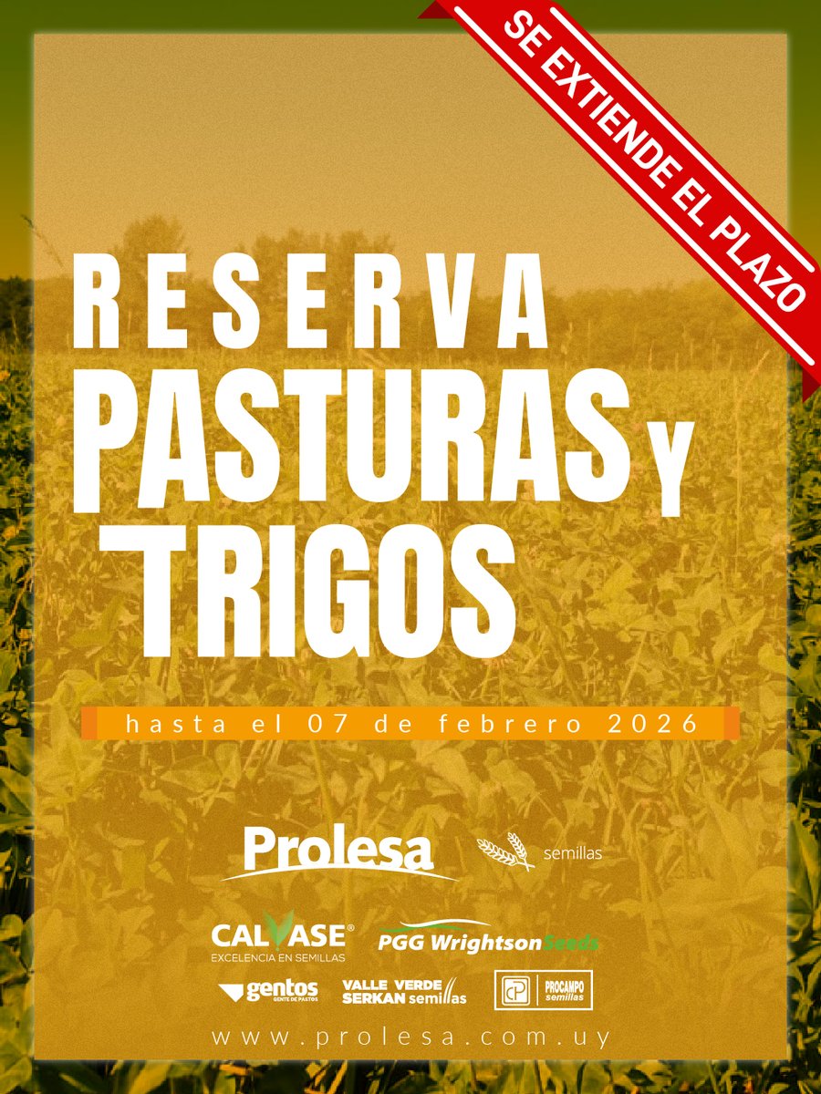 Prolesa tweet media