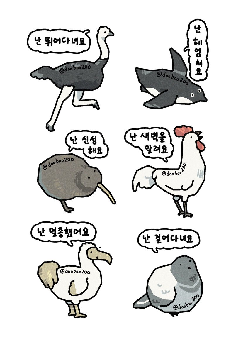 다양한 날지 않는 새 그려보았다