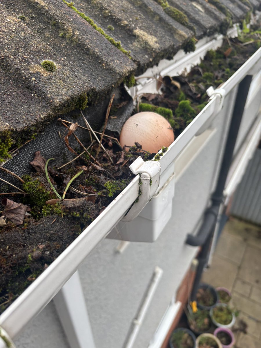 #HONESTMAN4HIRE tweet media