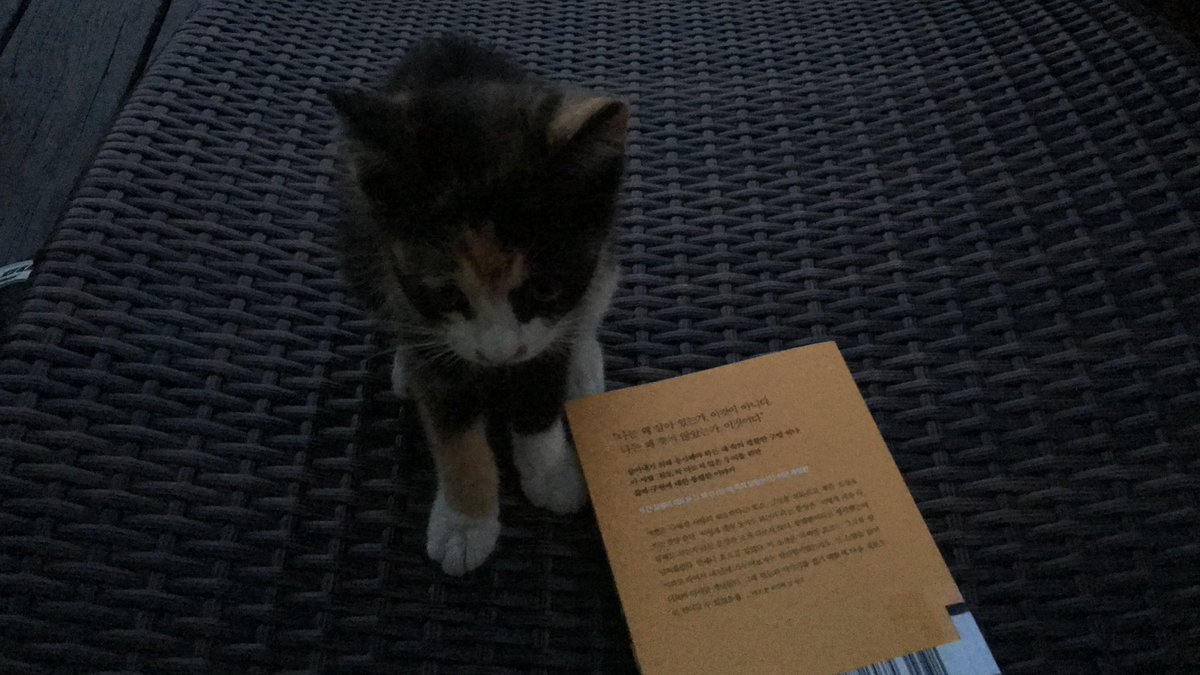 heavytalkerr's tweet image. 