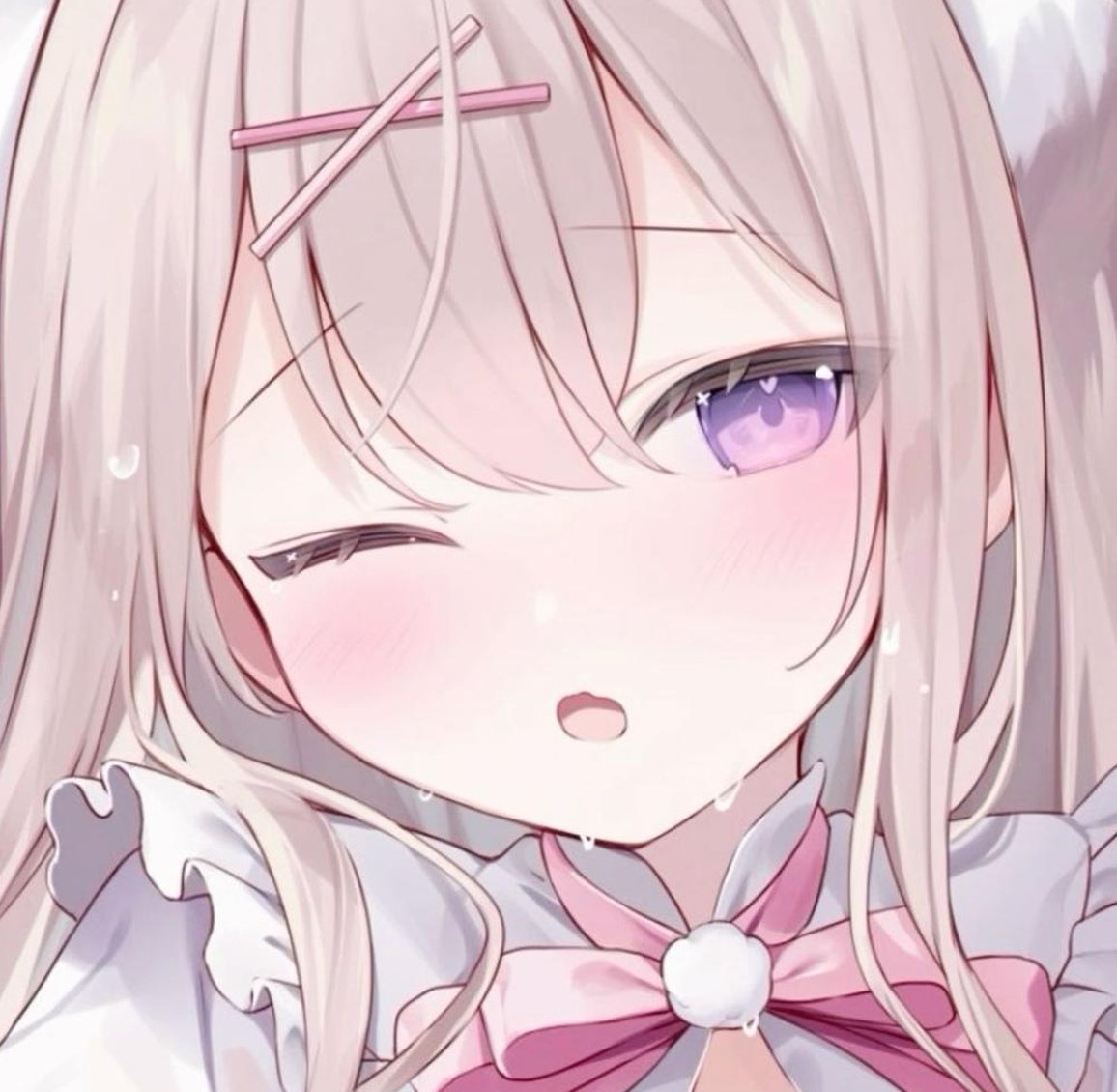 bcushing2's tweet image. 国である 🐝