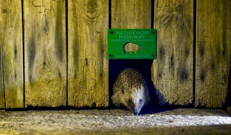 Sheryl 🏴󠁧󠁢󠁥󠁮󠁧󠁿 tweet media