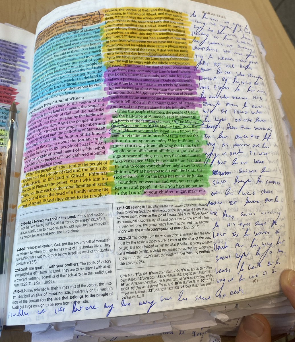 Only be very careful to observe the commandment and the law that Moses the servant of the LORD commanded you, to love the LORD your God, and to walk in all his ways and to keep his commandments and to cling to him and to serve him with all your heart and with all your soul.
