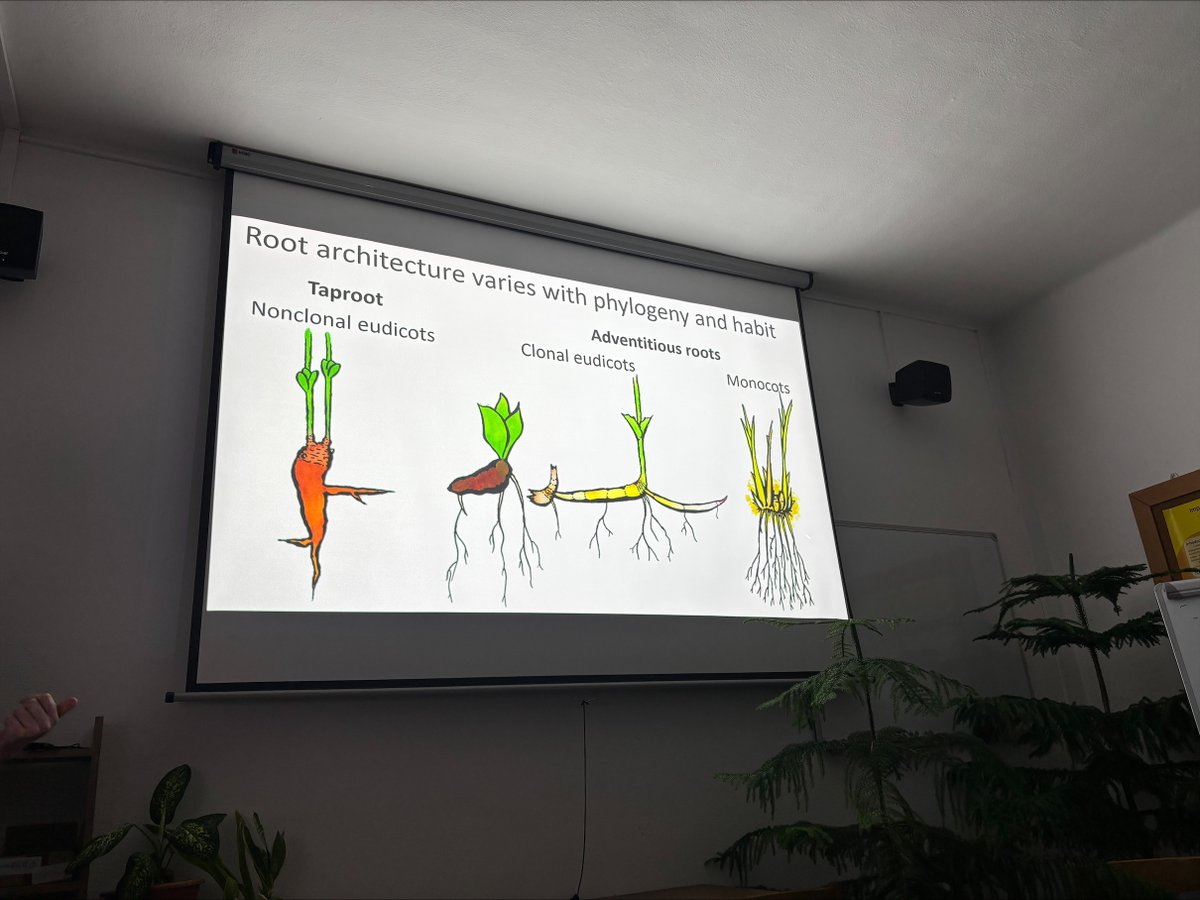 Go Belowground! tweet media