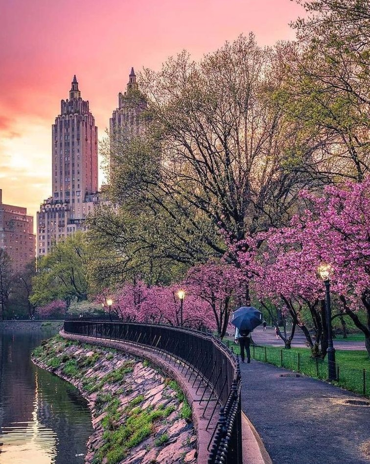 l3hoff's tweet image. セミナー頑張る 🍱