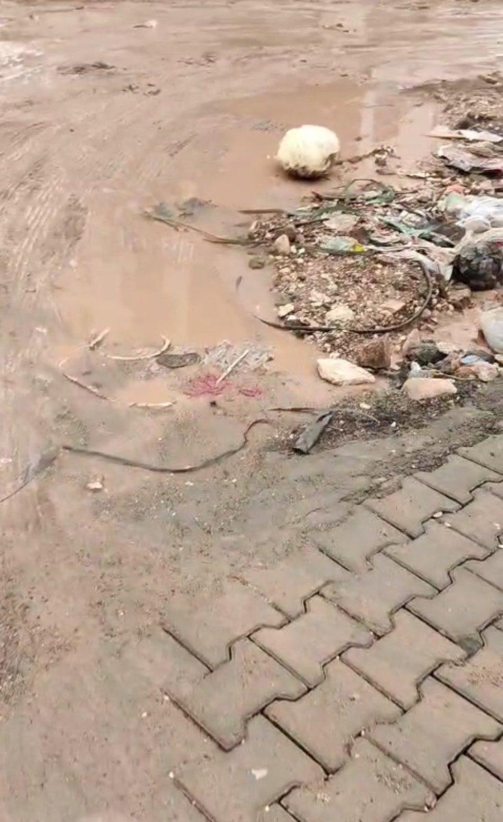 Seyrantepe Mahallesi  8007.sokak manzarası ne yazık ki bu. #Karaköprü ilçemize asla yakışmayan görüntüler. Bir yere kadar yapılıp,sokağın sonuna kadar öyle bırakılmış. <a href="/Karakoprubel/">Karaköprü Belediyesi</a> ve  ilgili diğer yetkililerinden isteğimiz bu görüntülere son vermeleri. 
#Şanlıurfa <a href="/nihatcftc/">Nihat ÇİFTÇİ</a>